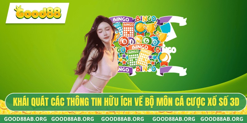 Khái quát các thông tin hữu ích về bộ môn cá cược xổ số 3D