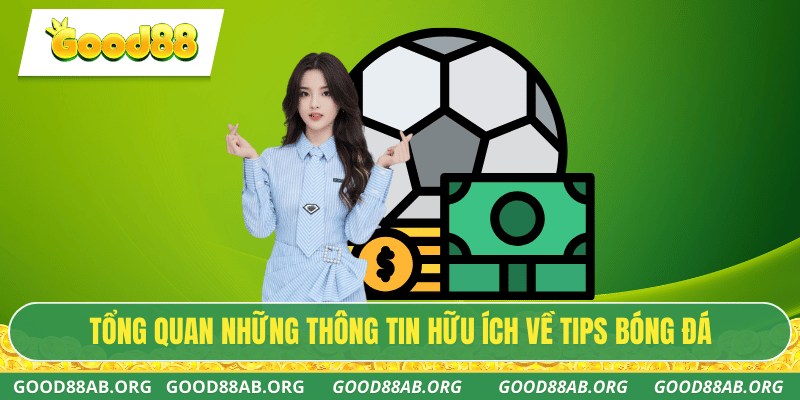 Tổng quan những thông tin hữu ích về tips bóng đá