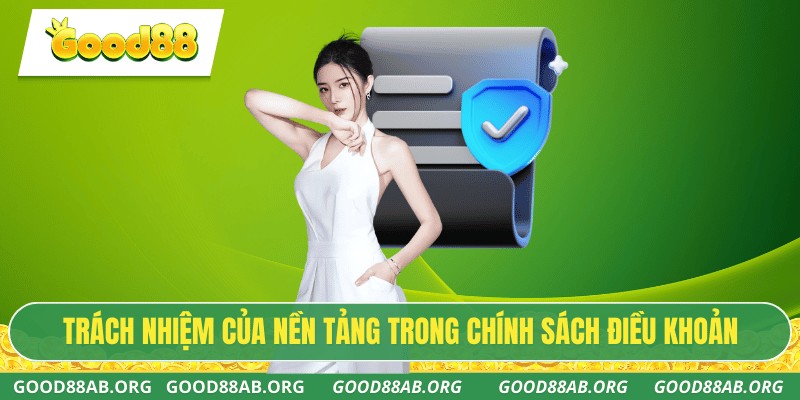Trách nhiệm của nền tảng trong chính sách